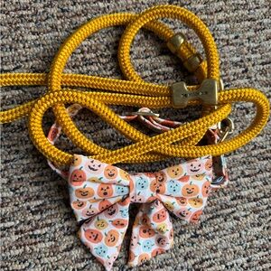 The Foggy Dog Yellow Rope Leash with Pumpkin Collar & Bow